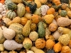 Gloucestershire food with Rob Rees October 2009