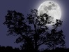 Gloucester Ghost Walks