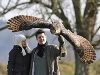 The Barn Owl Centre