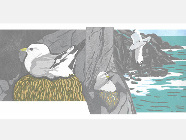 Land, Sea and Sky exhibition at Chapel Arts