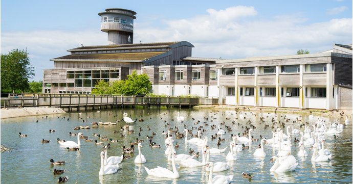 Slimbridge Wetland Centre