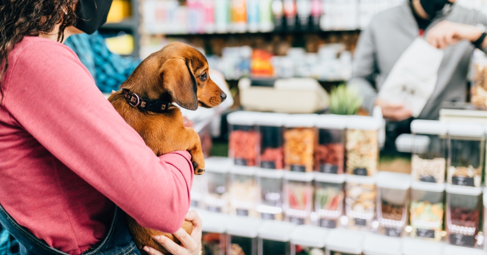 Award-winning pet store set to open in Cirencester - Vimarsana News