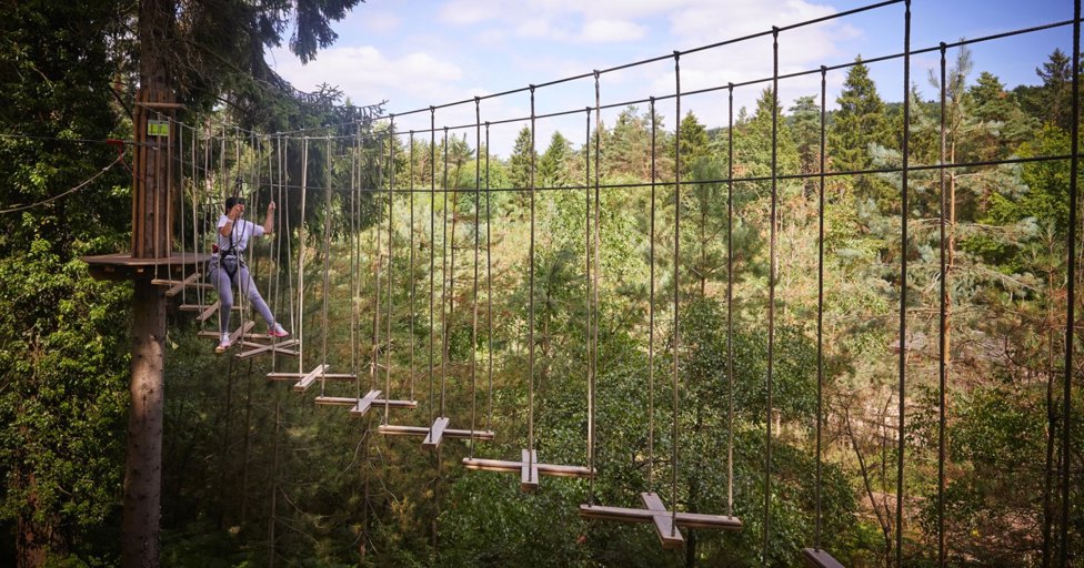 Go Ape reveals how a Gloucestershire firm is key to its growth - Vimarsana News