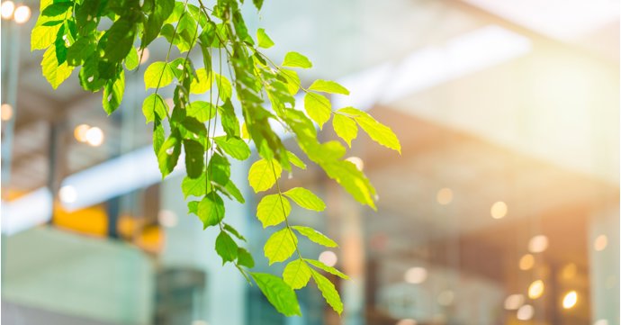 How Gloucestershire businesses will benefit from embracing the B Corp movement