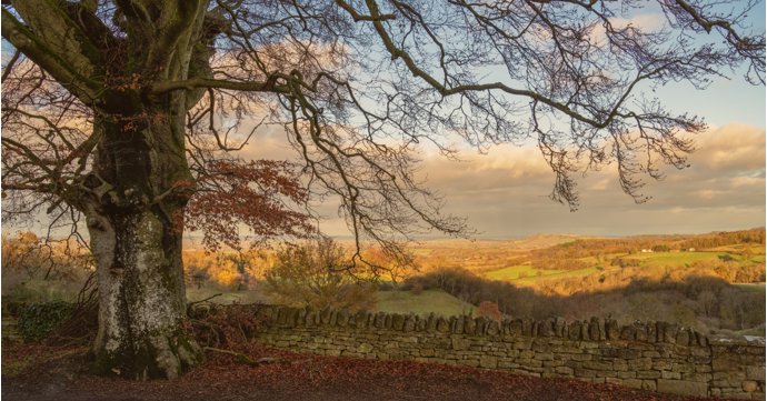 5 key Gloucestershire business events for your diary in November 2024