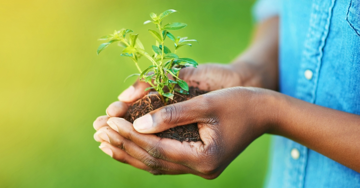 Sustainability for businesses and net zero by The Growth Hub