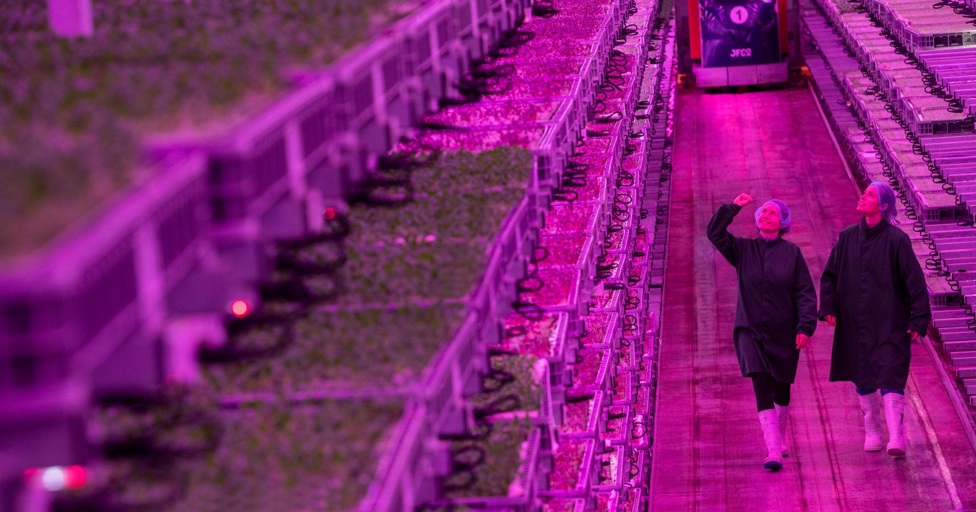 World's most advanced vertical farm opens in Gloucestershire - Vimarsana News
