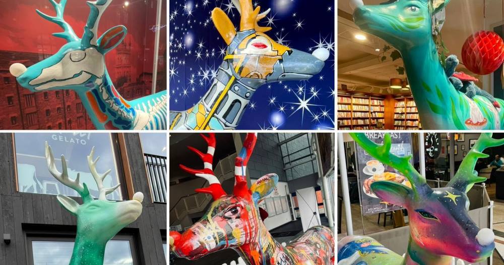 Gloucestershire charities to benefit from runaway reindeer auction - Vimarsana News