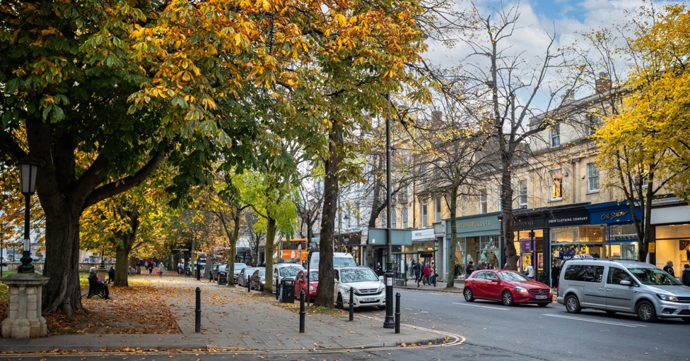 Trees glorious trees! How businesses can boost trade and make Gloucestershire greener - Vimarsana News