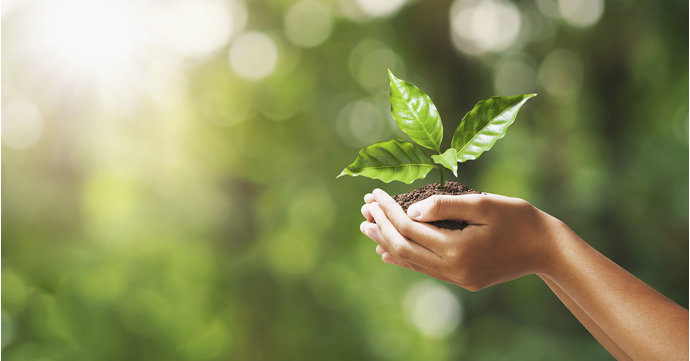 15 Cotswolds businesses putting the planet first