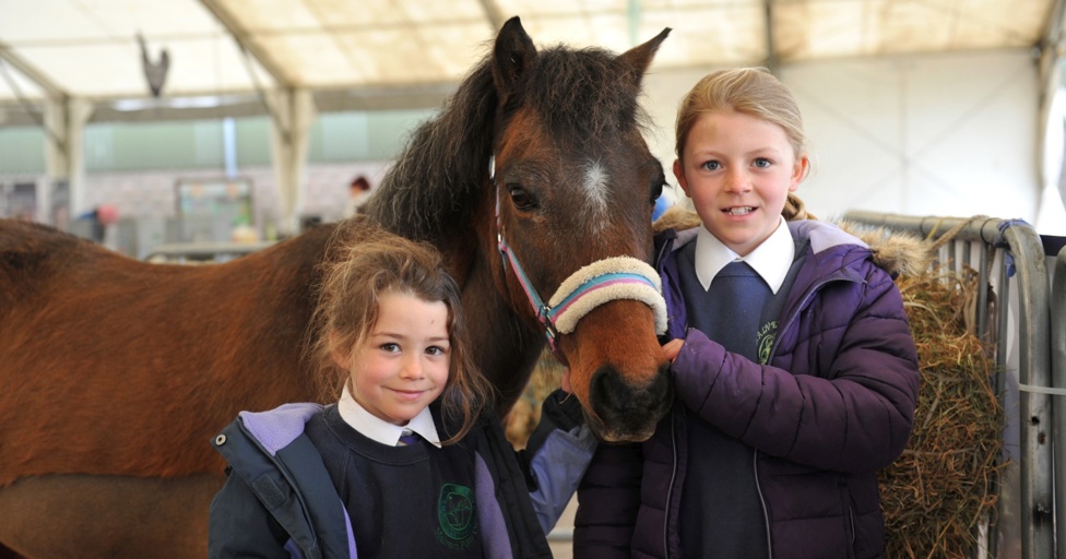 CountryTastic 2023 at Three Counties Showground in Malvern - Vimarsana News