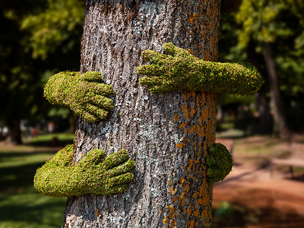 Brand-new installations at the Forest of Dean Sculpture Trail are revealed
