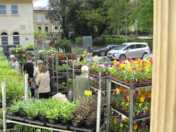 The event helps to support Cheltenham charity, Cobalt.