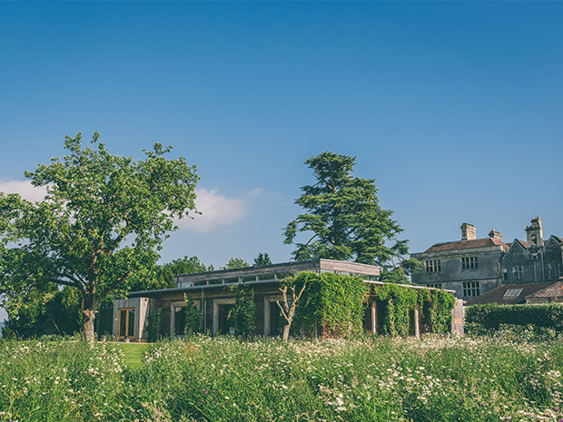 Elmore Court is rewilding a quarter of its grounds and building six new treehouses