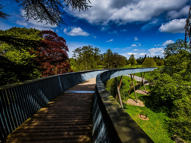 Westonbirt Arboretum is reopening in June with new booking system