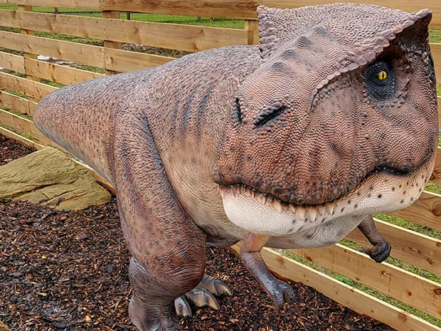 Dinosaurs are coming to Catch A Smile in Gloucester