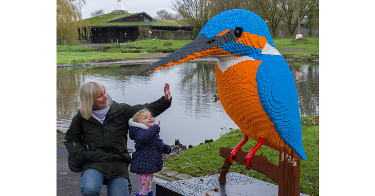 Slimbridge's ever-popular LEGO Brick Animals are making a return this October half term 2020.
