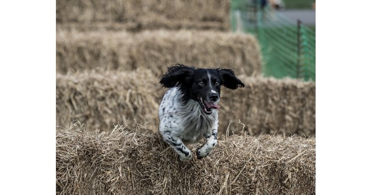 Photo by Red Images Photography. The Great Shires Game Fair is set to offer a weekend packed with activities and events for the whole family.