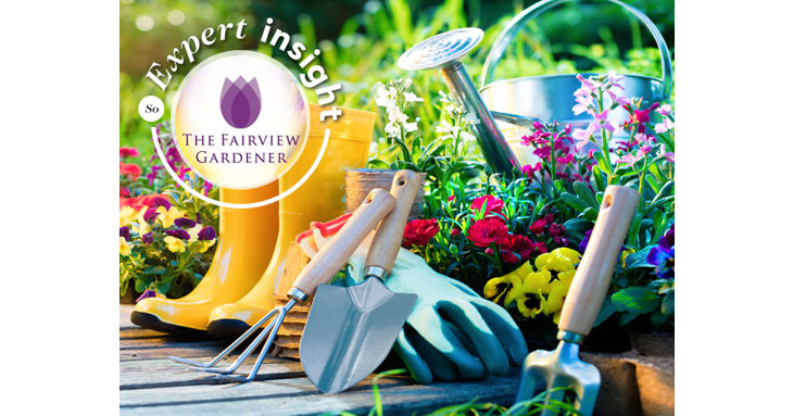 The Fairview Gardener has given us some top tips to get your garden ready for a lovely summer.
