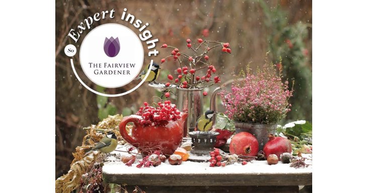 Discover winter gardening tips from expert Glenn Satterthwaite from The Fairview Gardener.