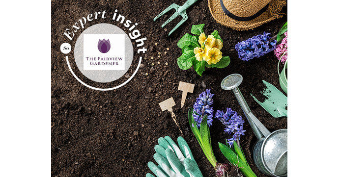 The Fairview Gardener expert insight: Everything you need to know about spring gardening 