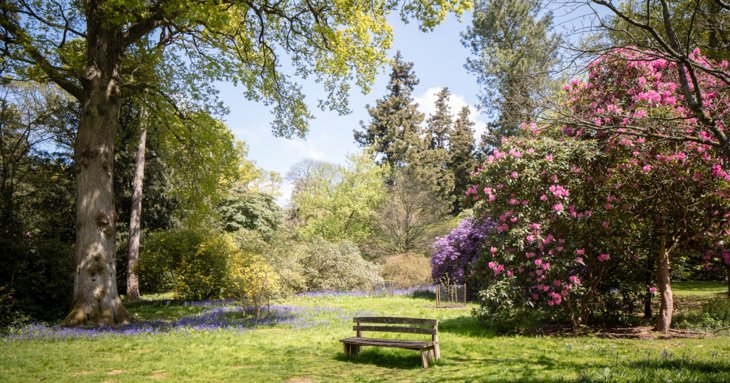 Westonbirt Arboretum in the spring