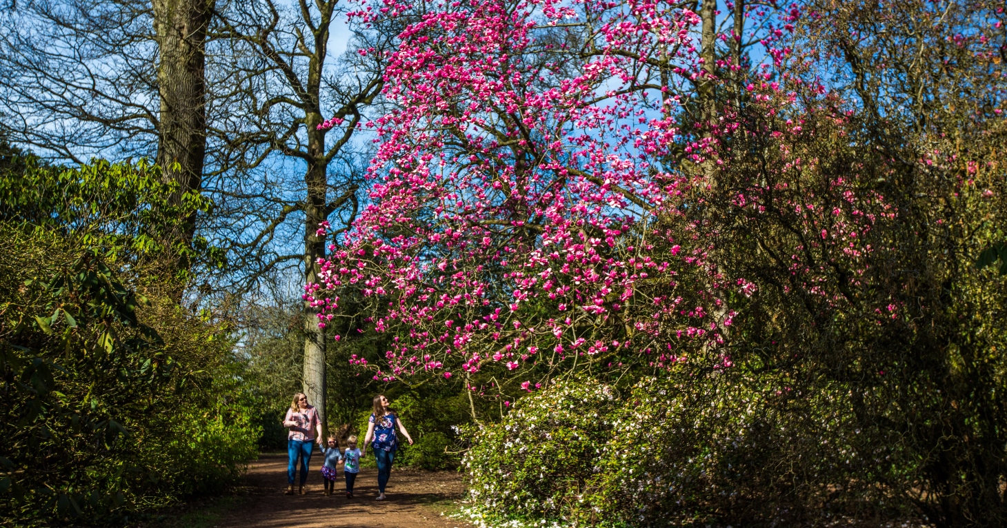 11 best places to see spring flowers in Gloucestershire
