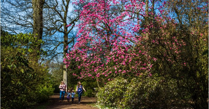 11 best places to see spring flowers in Gloucestershire