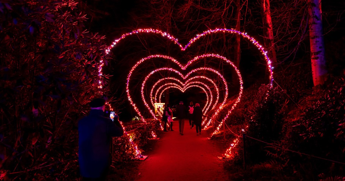 Enjoy a romantic walk at an illuminated Valentine's heart arch walkway in Imperial Gardens