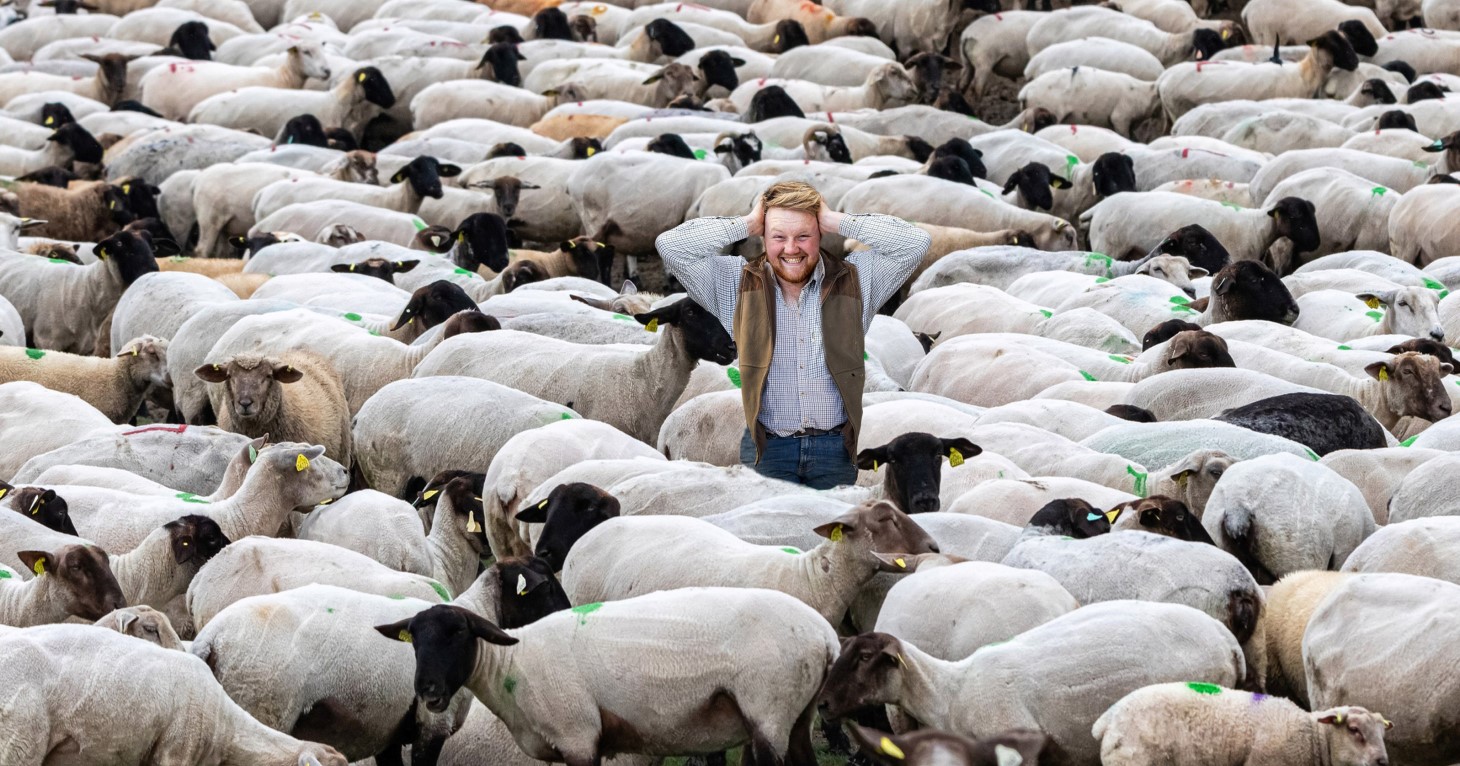 Kaleb Cooper releases music video for his single 'I Can't Stand Sheep'