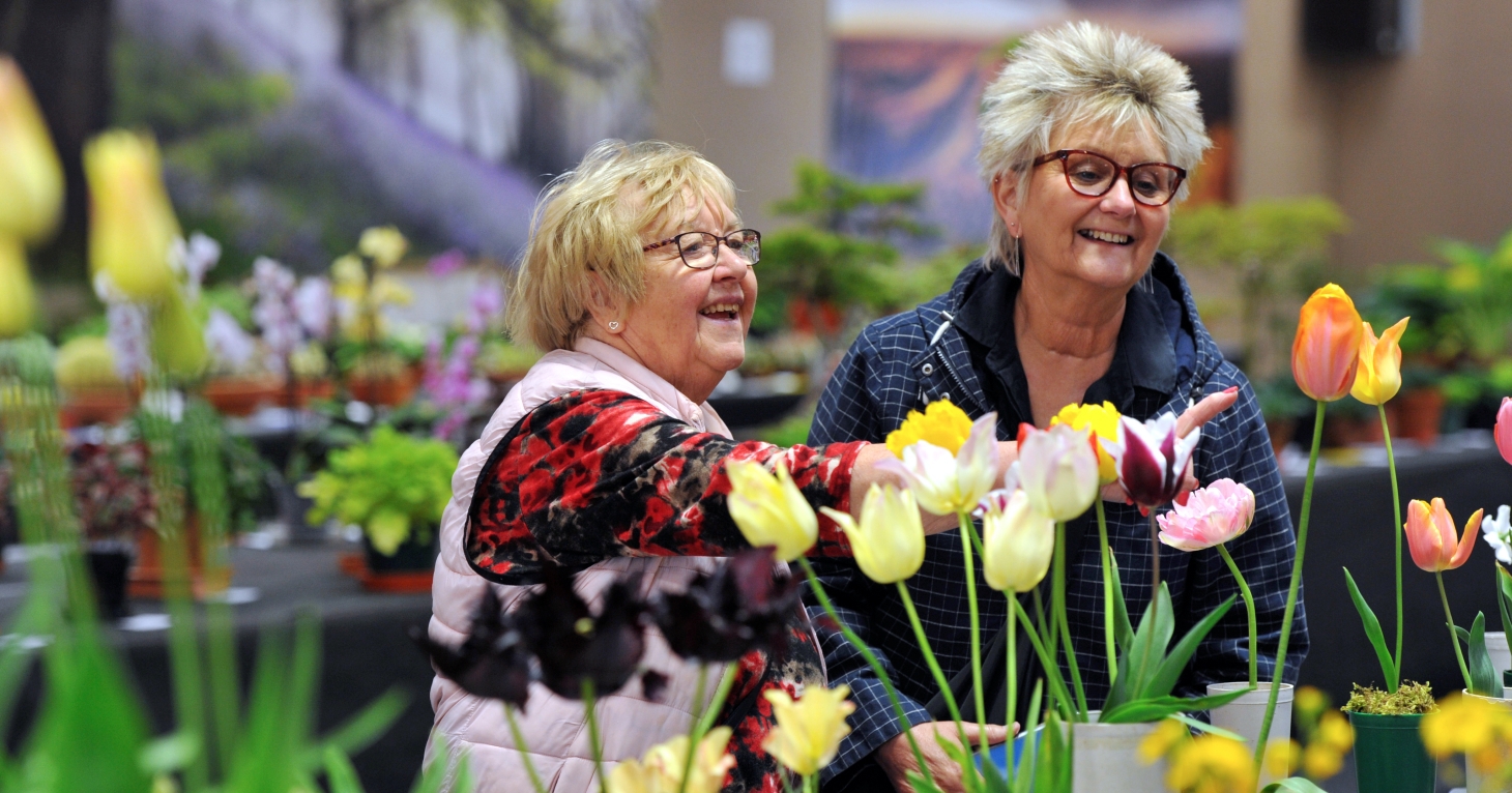 A festival overflowing with flowers, food and thought provoking ideas - Vimarsana News