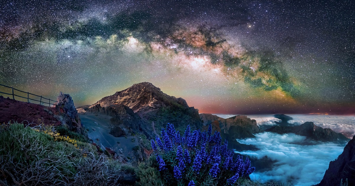 Hidcote hosts International Garden Photographer of the Year exhibition