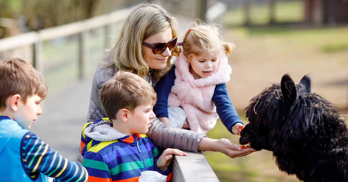 17 fun family days out in Gloucestershire - Vimarsana News