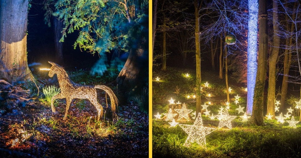A magical new Christmas light trail is coming to Painswick Rococo Garden - Vimarsana News