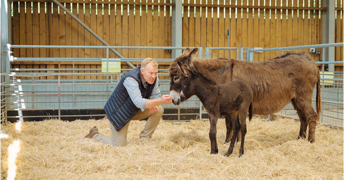 Cotswold Farm Park launches new 'return for free' ticket for summer holidays