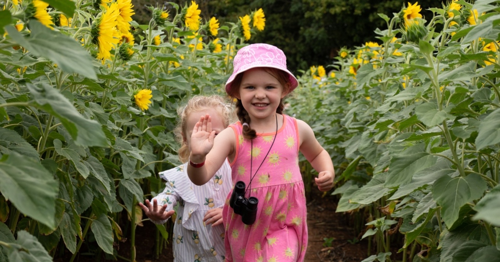 Flower Festival at Cotswold Farm Park - Vimarsana News