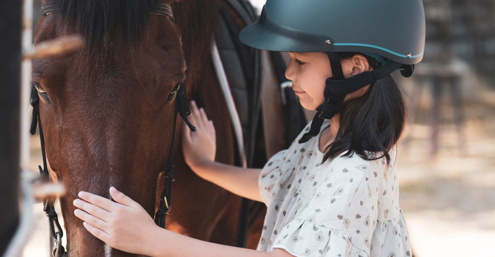 Gloucestershire charity announces UK's first equine-facilitated sensory room for SEND children - Vimarsana News