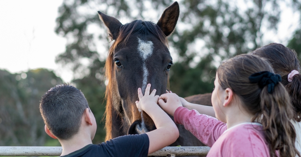 7 Gloucestershire community projects boosted by Hartpury University and Hartpury College - Vimarsana News
