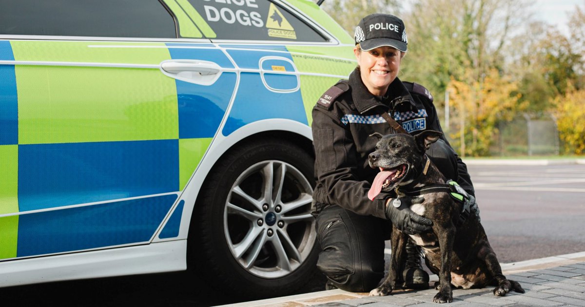 Gloucestershire police dog wins Kennel Club hero award at Crufts