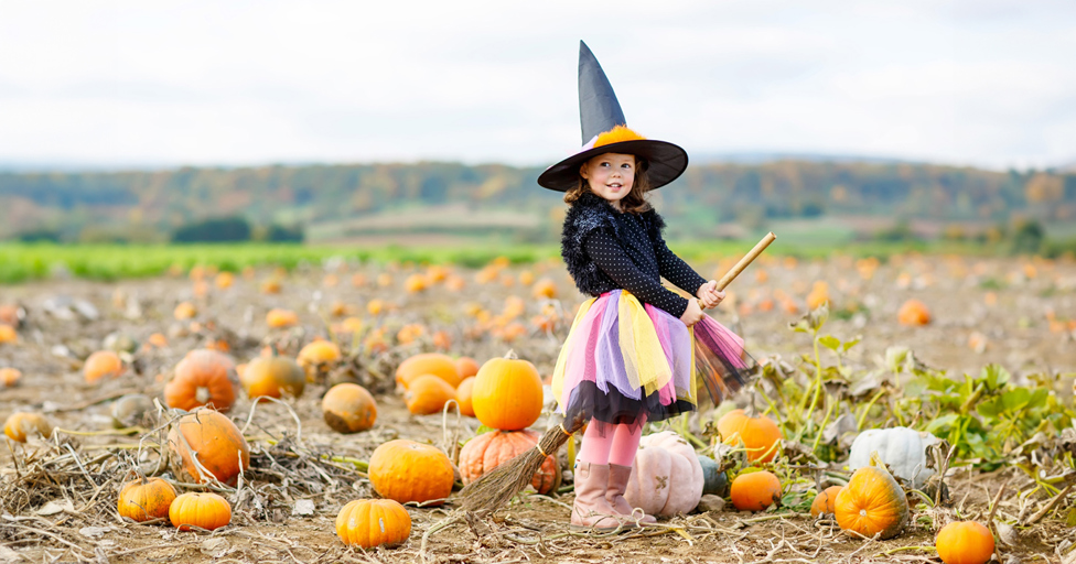 Gloucestershire Halloween and October half term guide 2023 - Vimarsana News