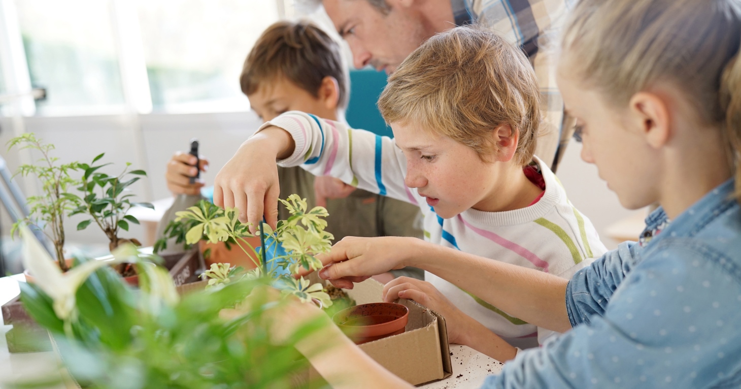 Growfest Cheltenham - Vimarsana News