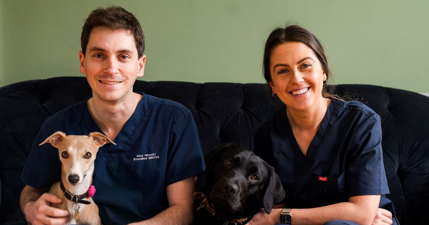 The Cheltenham vets creating a calmer, kinder experience for Gloucestershire pets