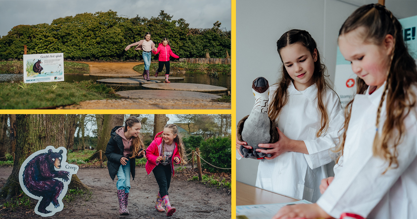 Gozzle trail at Slimbridge Wetland Centre