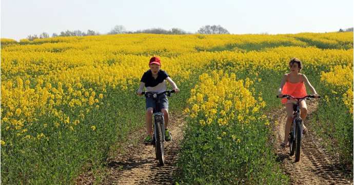 9 luxurious family staycations in the Cotswolds