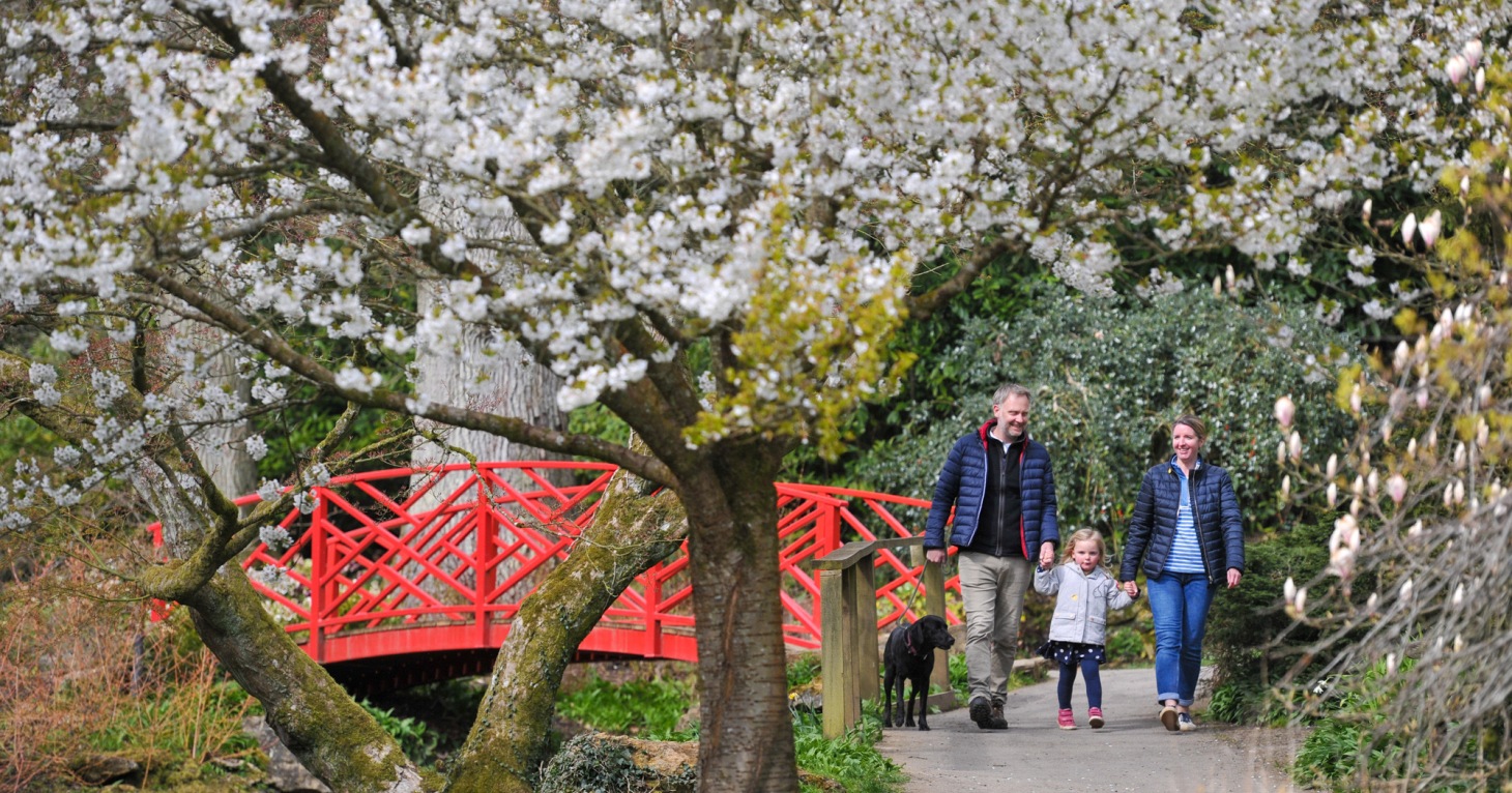 12 reasons to visit Batsford Arboretum in every season