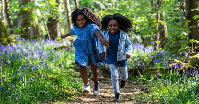 Brand-new spring family trail launches at Westonbirt Arboretum