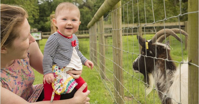 13 toddler-friendly days out in Gloucestershire