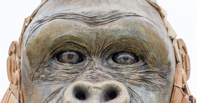 Four-tonne gorilla headlines BIG Summer-Send Off at Bristol Zoo Gardens