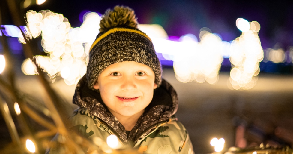 An enchanting new light trail brings Christmas magic to Cotswold Farm Park - Vimarsana News