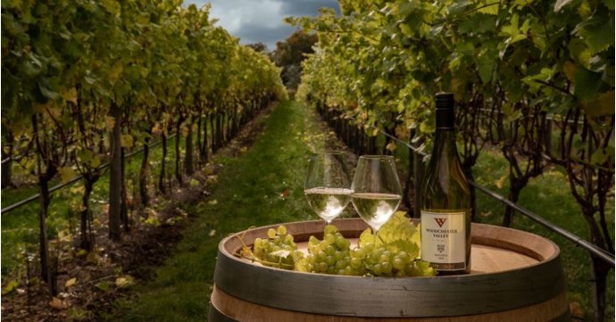 19 of Gloucestershire’s best artisan food and drink producers